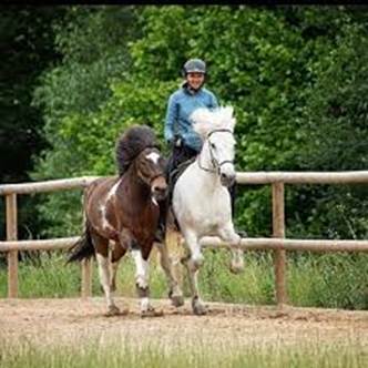 Falkenegg - 🐎💯Handpferdereiten🐎 Eine wunderbare... | Facebook